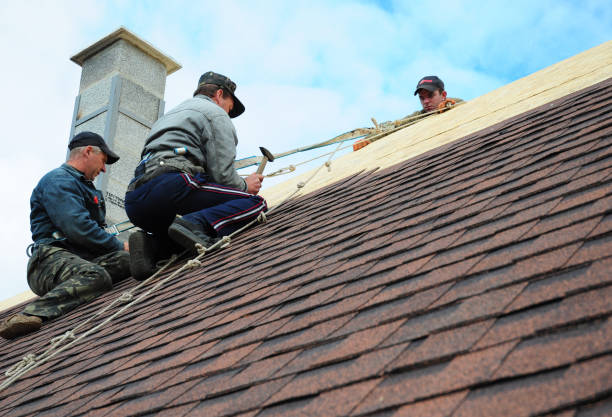 Best Gutter Installation and Roofing  in Lincolndale, NY